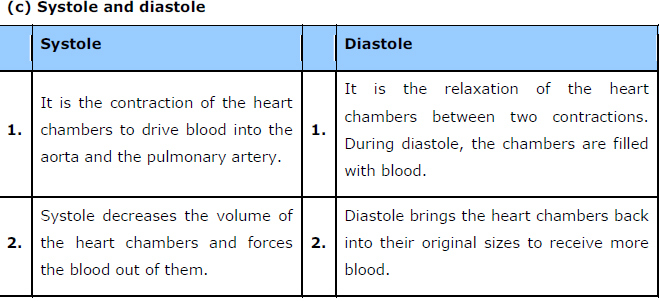 Body Fluids and Circulation ncert solution class 11 Biology